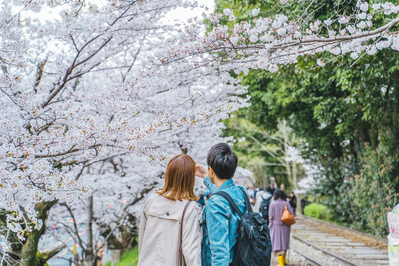 Japan: Authorities build dating app to fight low birth rate