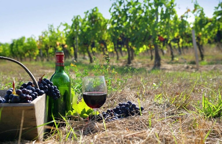 Tourism: Left 7.2 million euros to the wineries of the Northern Wine Routes. in Greece