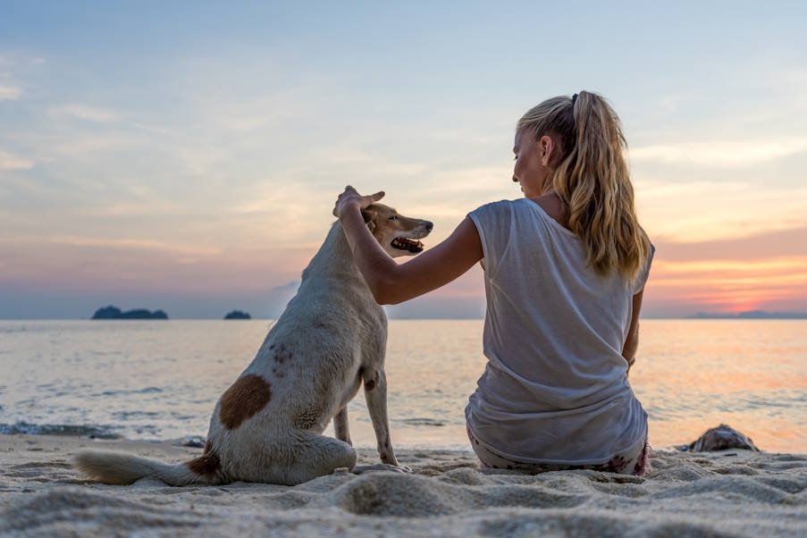 What you need to know before taking your dog to the beach