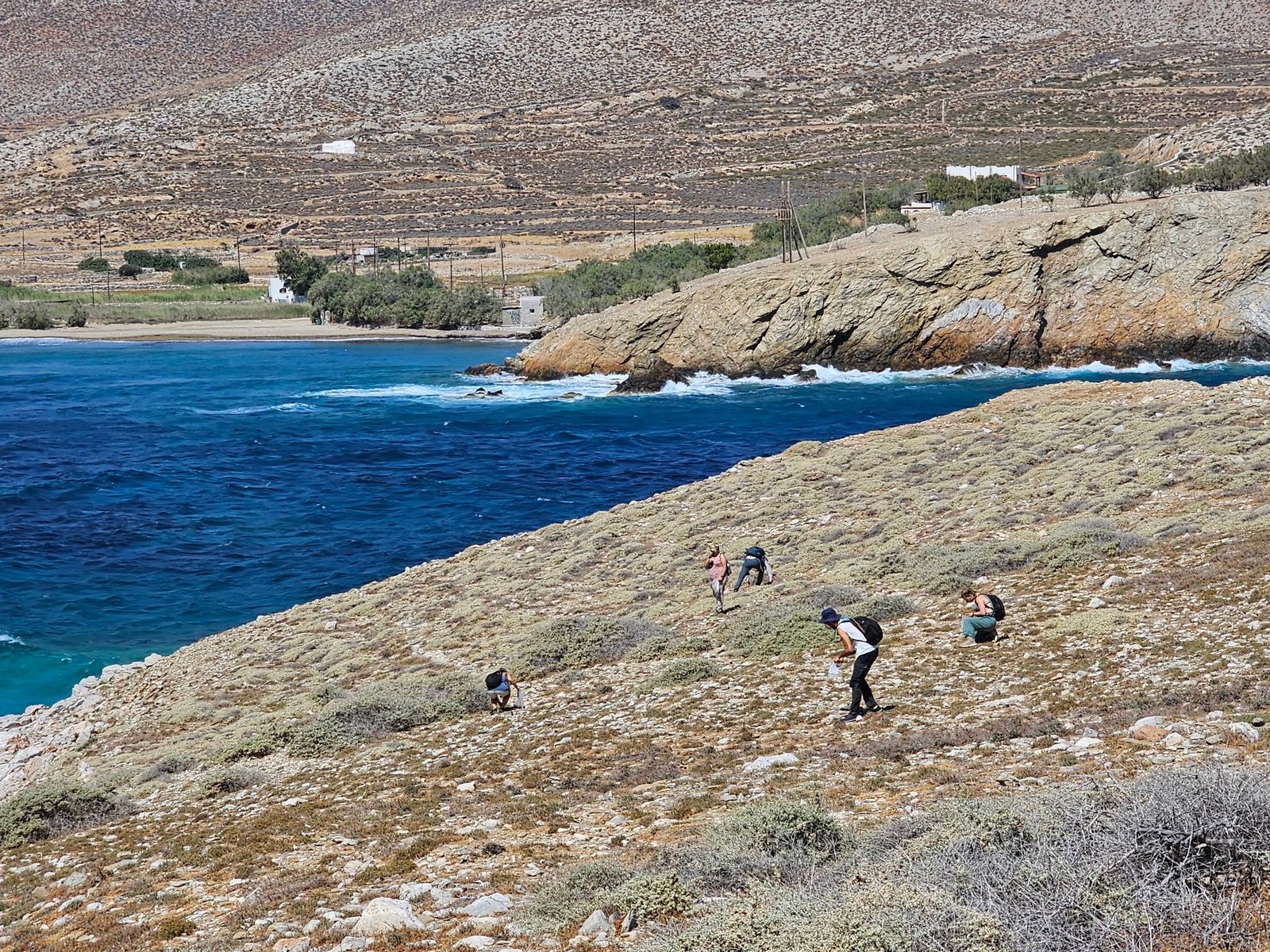 Naxos-Moutsouna: The results of the Cycladic Islands (ECyNI) survey are presented today